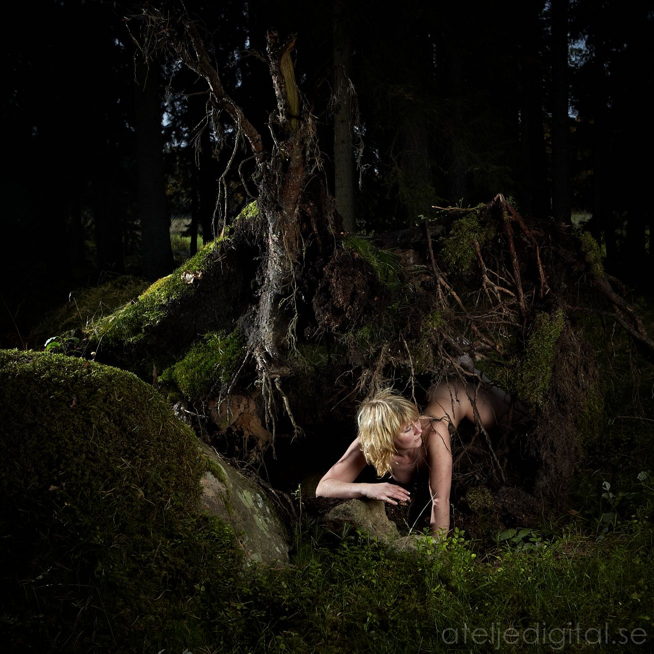 Birth - Lady of the Forest #03 - Model: Lenita